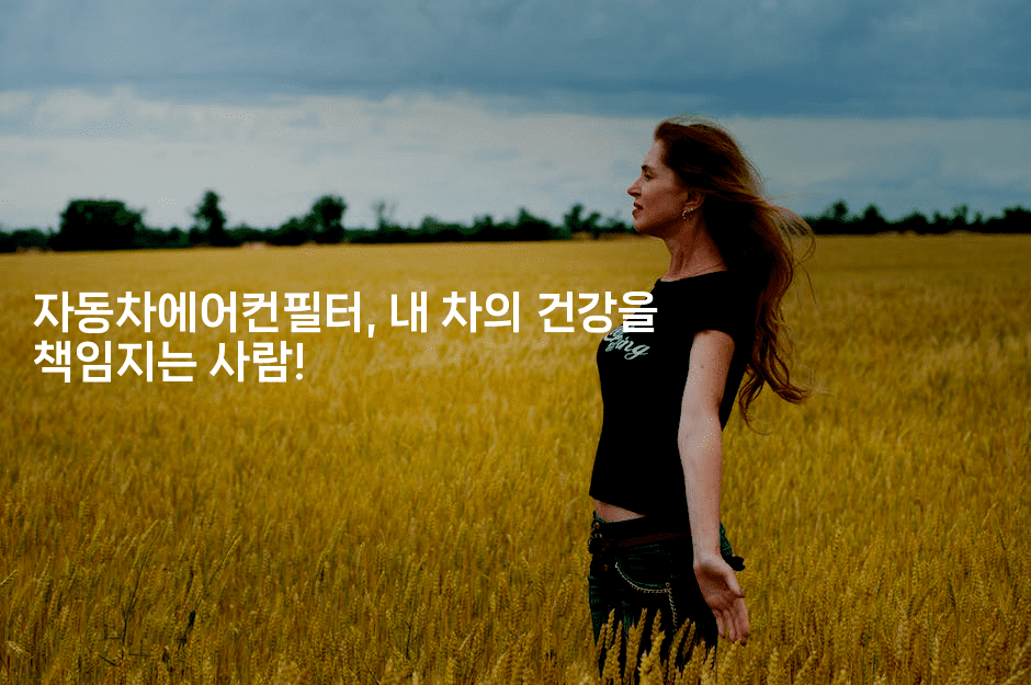 자동차에어컨필터, 내 차의 건강을 책임지는 사람!2-바람뿌