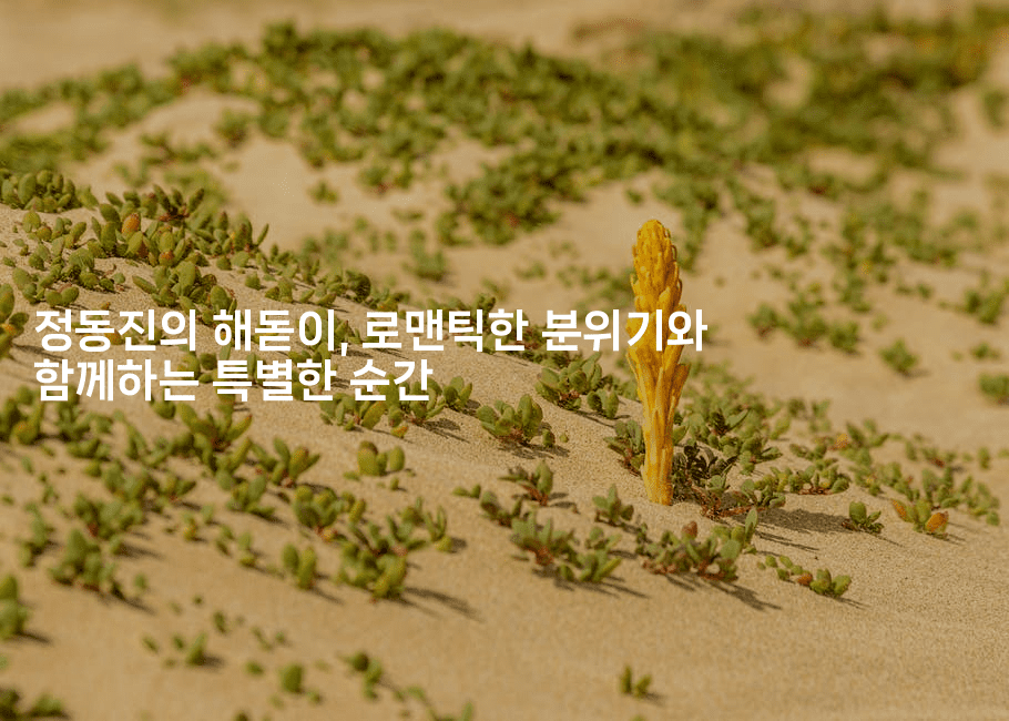 정동진의 해돋이, 로맨틱한 분위기와 함께하는 특별한 순간-바람뿌