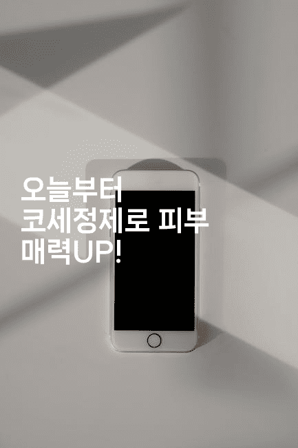 오늘부터 코세정제로 피부 매력UP!2-바람뿌