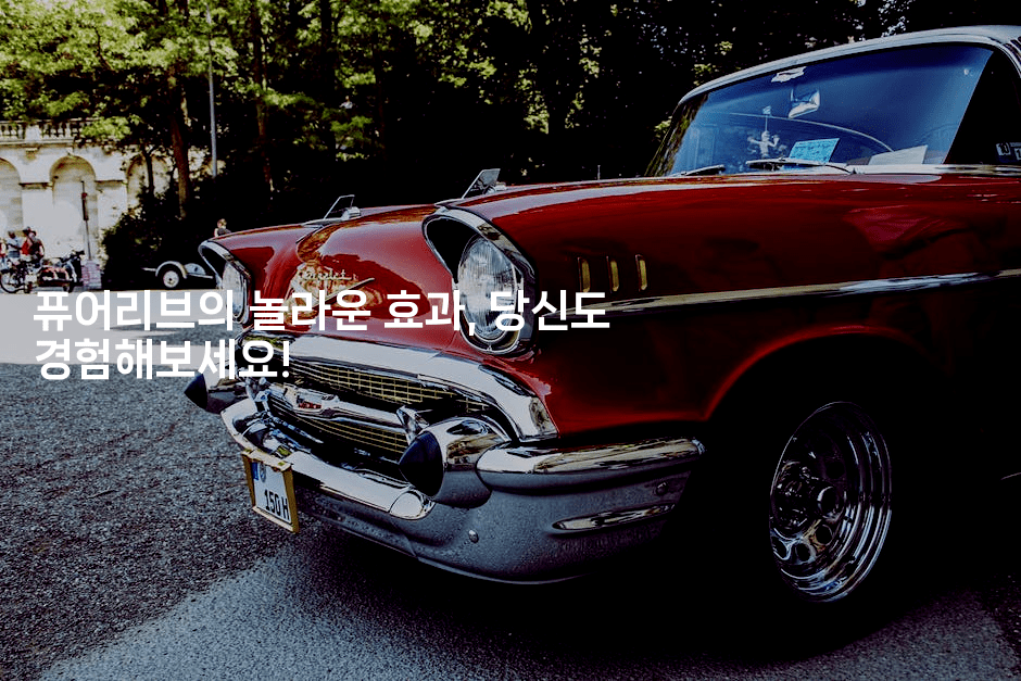 퓨어리브의 놀라운 효과, 당신도 경험해보세요!