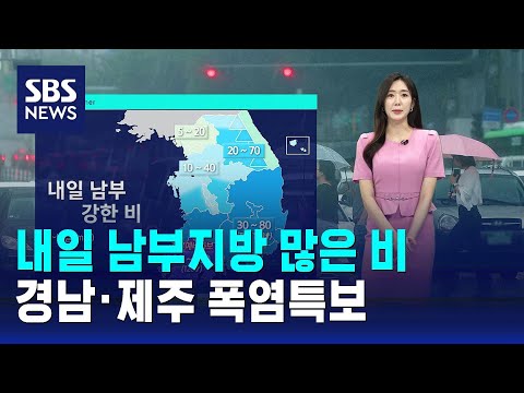 [날씨] 강원·경북 일부 강한 비…내일 남부지방 많은 비 / SBS