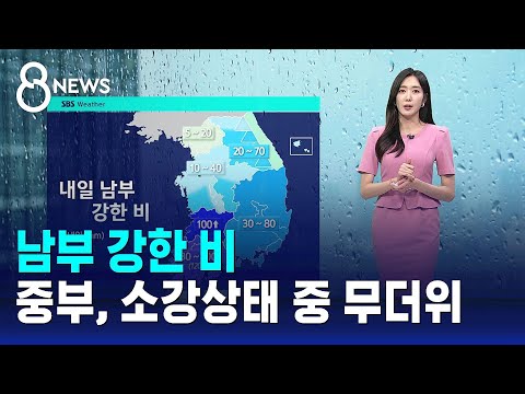 [날씨] 남부 강한 비…전남 최대 120mm 이상 등 호우 / SBS 8뉴스