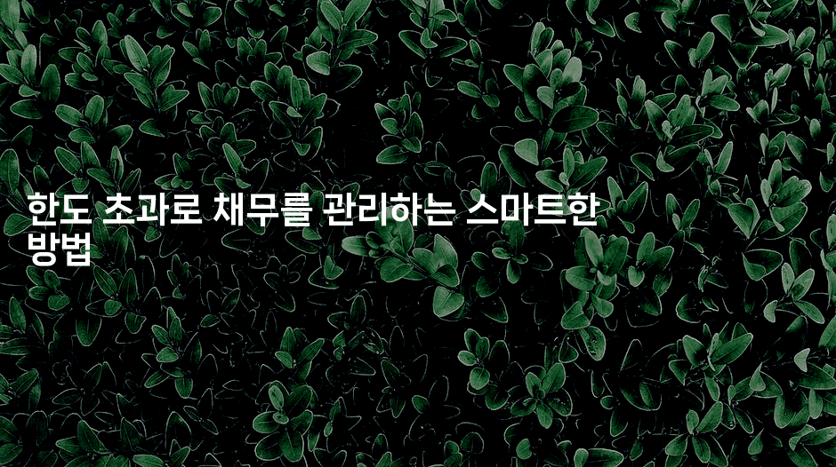 한도 초과로 채무를 관리하는 스마트한 방법-바람뿌