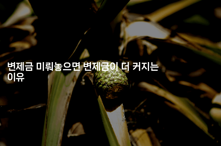 변제금 미뤄놓으면 변제금이 더 커지는 이유-바람뿌