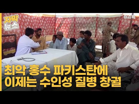 최악 홍수 파키스탄에 이제는 수인성 질병 창궐 [이슈픽]