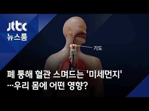 폐 통해 혈관 스며드는 '미세먼지'…우리 몸에 어떤 영향?