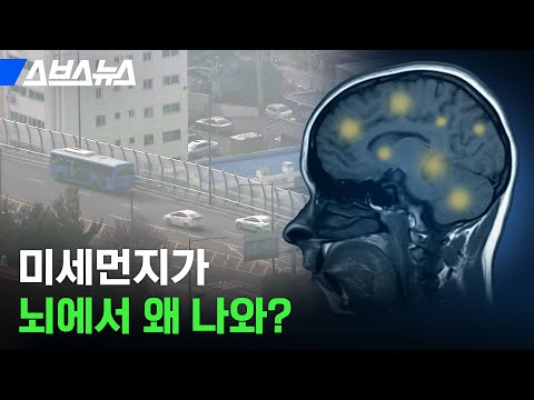 코에서 바로 뇌로 ㄱㄱ? 소름 돋는 미세먼지 침투력;; [지구에서 살아남기 EP.2] / 스브스뉴스