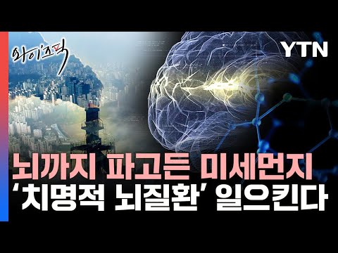 [와이즈픽] 미세먼지가 치명적 뇌질환 일으켜…지구 뒤덮은 조용한 살인자 / YTN