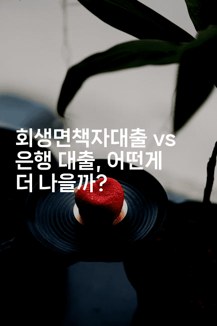 회생면책자대출 vs 은행 대출, 어떤게 더 나을까?-바람뿌