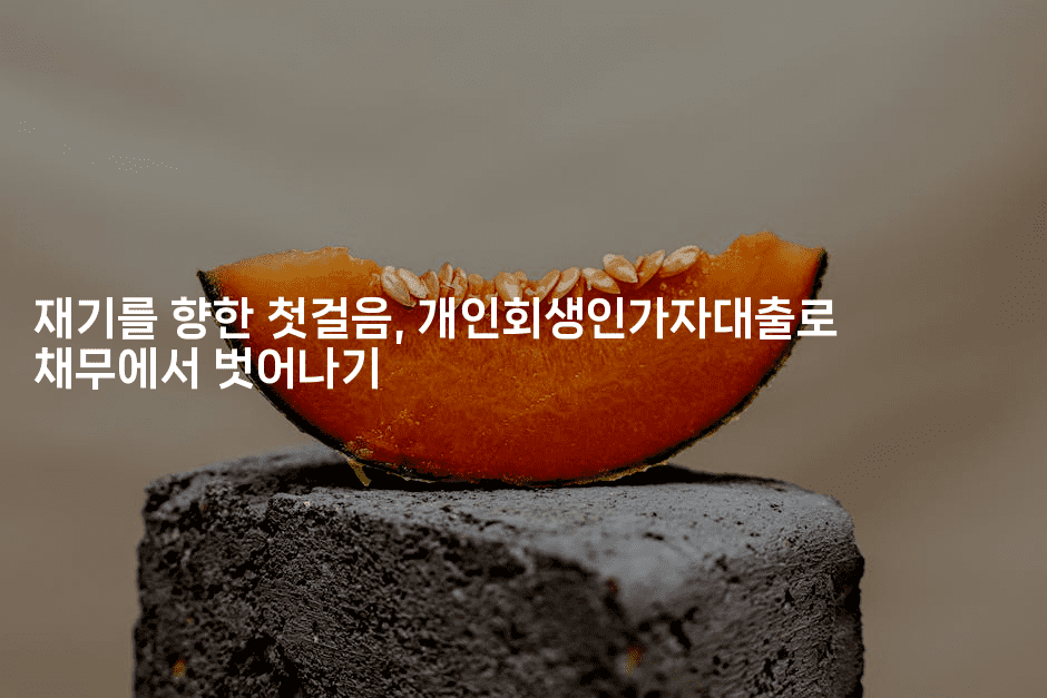 재기를 향한 첫걸음, 개인회생인가자대출로 채무에서 벗어나기-바람뿌