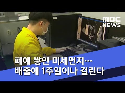 폐에 쌓인 미세먼지…배출에 1주일이나 걸린다 (2018.11.29/뉴스투데이/MBC)