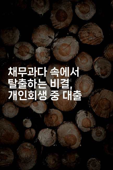 채무과다 속에서 탈출하는 비결, 개인회생 중 대출-바람뿌