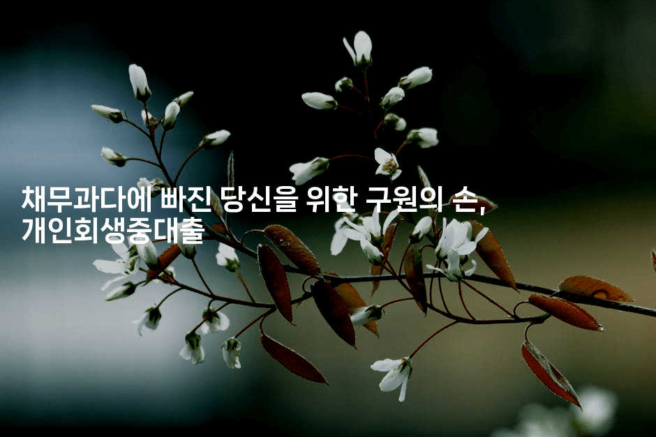 채무과다에 빠진 당신을 위한 구원의 손, 개인회생중대출-바람뿌